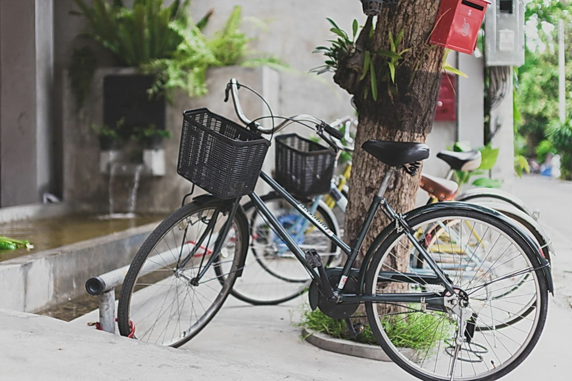 Now Chiang Mai Hotel Ngoại thất bức ảnh